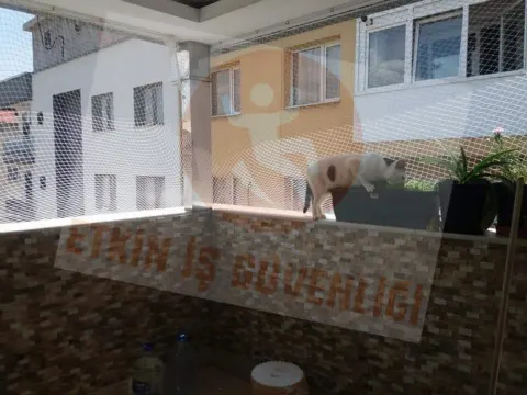 Güvenlik Ağı / Filesi