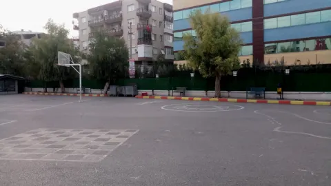 Çim Çit / Bahçe Çiti